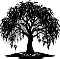 A black and white silhouette of a willow tree vector