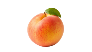 Isolated peach fruit cut out. Whole peach fruit on transparent background png