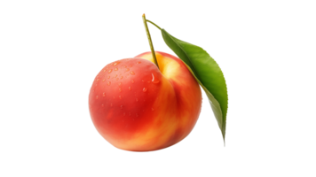 Isolated peach fruit with leaf cut out. Whole peach fruit on transparent background png