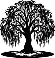 A black and white silhouette of a willow tree vector