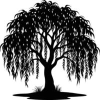 A black and white silhouette of a willow tree vector