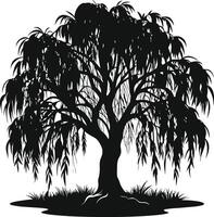 A black and white silhouette of a willow tree vector