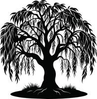 A black and white silhouette of a willow tree vector