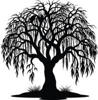 A black and white silhouette of a willow tree vector