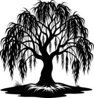 A black and white silhouette of a willow tree vector