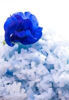 arroz cocido azul por color de flor de guisante de mariposa foto