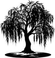 A black and white silhouette of a willow tree vector