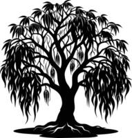 A black and white silhouette of a willow tree vector