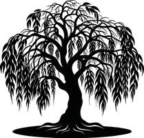 A black and white silhouette of a willow tree vector