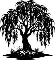 A black and white silhouette of a willow tree vector