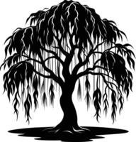 A black and white silhouette of a willow tree vector