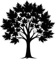 A black and white silhouette of a maple tree vector