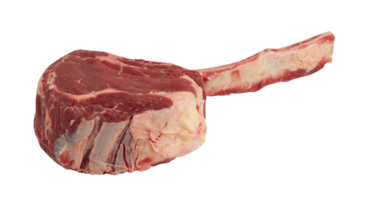 Fresco filete carne cortar fuera aislado transparente antecedentes png