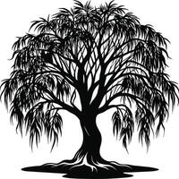 A black and white silhouette of a willow tree vector