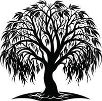 A black and white silhouette of a willow tree vector