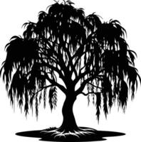 A black and white silhouette of a willow tree vector