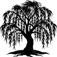 A black and white silhouette of a willow tree vector