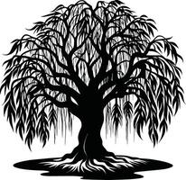 A black and white silhouette of a willow tree vector