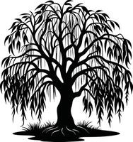 A black and white silhouette of a willow tree vector