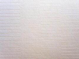 Texture of the white wall surface photo