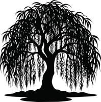 A black and white silhouette of a willow tree vector