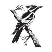 Bird sitting on a tree branch. Ink black and white illustration Stock Illustration vector