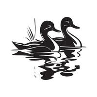 Mallard Duck Design Art, Icons, and Graphics vector