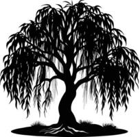 A black and white silhouette of a willow tree vector