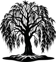 A black and white silhouette of a willow tree vector