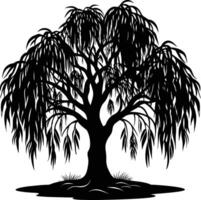 A black and white silhouette of a willow tree vector