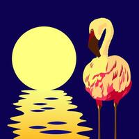 flamingo in the sun vector