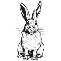 Rabbit sitting sketch hand drawn in doodle style illustration vector