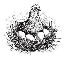 Chicken hen in the nest funny hand drawn sketch illustration vector