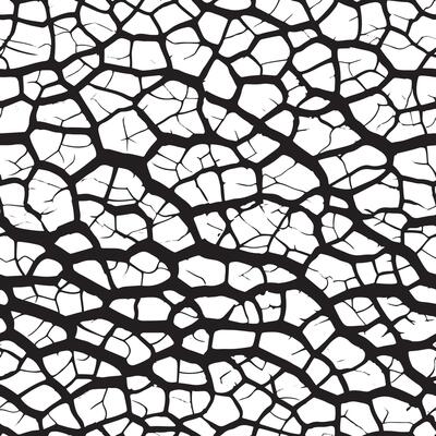 Cracked barren desert earth texture. Seamless pattern