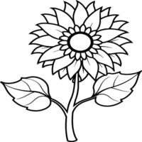 Sunflower coloring pages. Sunflower outline. Flower line art for coloring book vector