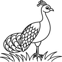 Peacock bird coloring pages. vector