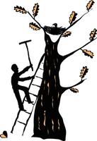 a man climbs a tree to drive out a crow. fabulous stylized art for covers and banner about protecting nature vector