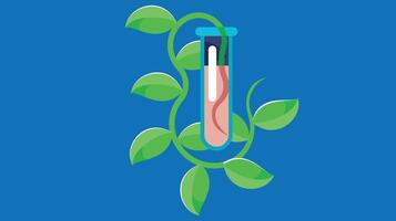 plant in a tube genetic engineering vector