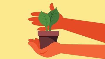 Hands holds a plant in a pot isolated vector