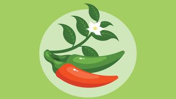 Green and red spicy pepper isolated chili vegetables vector