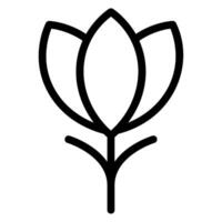 crocus line icon vector