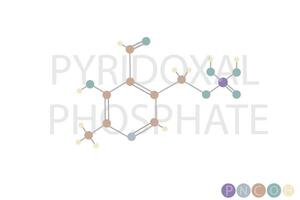 piridoxal fosfato molecular esquelético químico fórmula vector