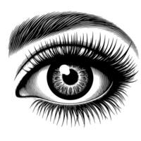 Black and White Illustration of the Human Eye Iris vector