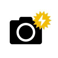 Camera and shooting flash icon. vector