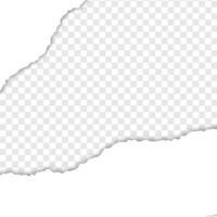 Paper Cut Effect with white Background vector