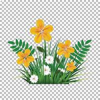 Yellow flower Green grass and leaf background vector