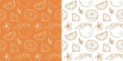 Outline orange seamless pattern with ink line sketch style citrus fruits and blossoms drawing vector