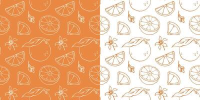 Outline orange seamless pattern with ink line sketch style citrus fruits and blossoms drawing vector