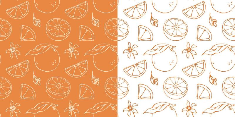Outline orange seamless pattern with ink line sketch style citrus fruits and blossoms drawing