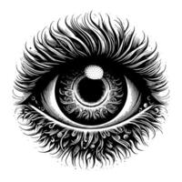 Black and White Illustration of the Human Eye Iris vector